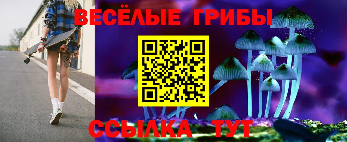 как найти закладки  Галлюциногенные грибы GOLDEN TEACHER  Вход с VPN  Тихорецк 